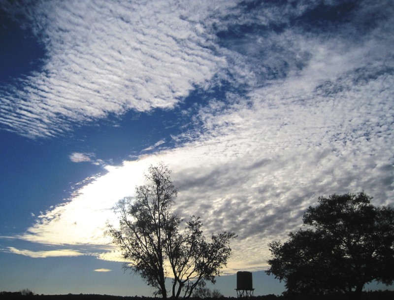 gambar awan stratokumulus